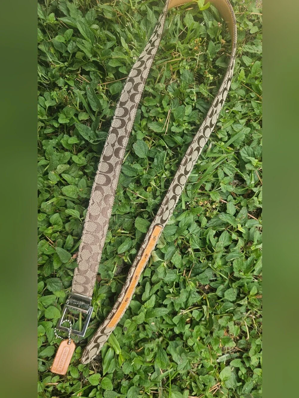 Coach Signature Leather Belt